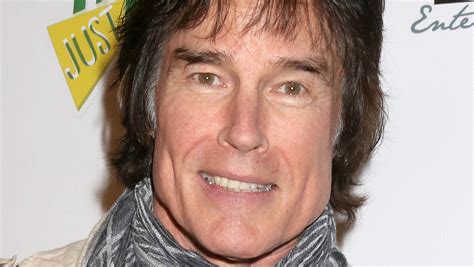 What Has Ronn Moss Been Up To Since Leaving The Bold And 